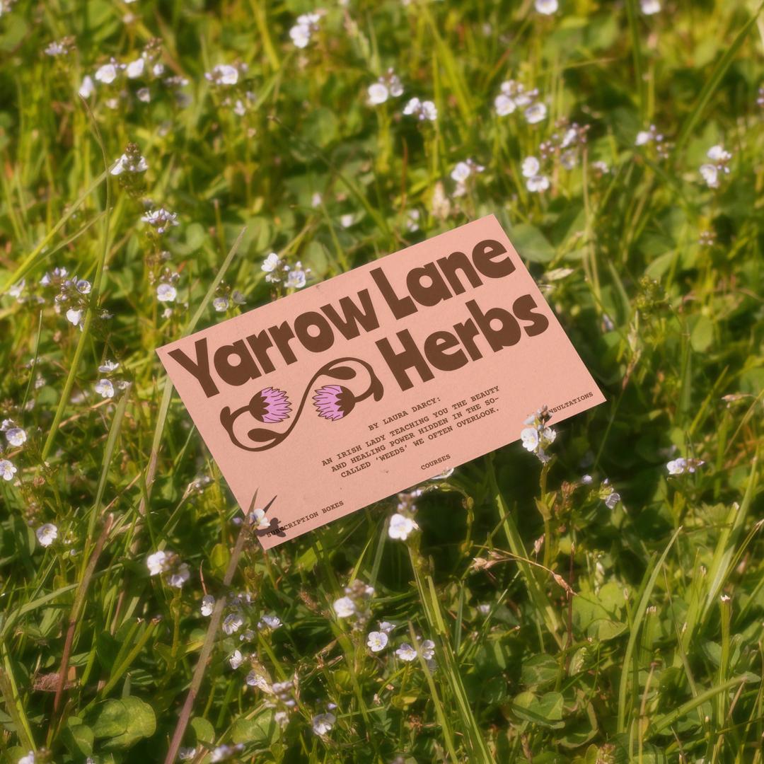A pink business card lying in the grass, with a dreamy atmosphere