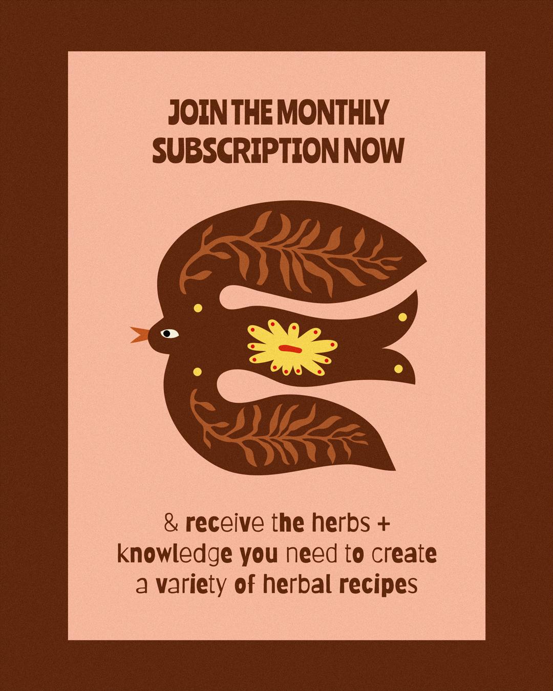 A digital promo poster reading "Join the monthly subscription & receive the herbs + knowledge you need to create a variety of herbal recipes", adorned with a handdrawn bird
