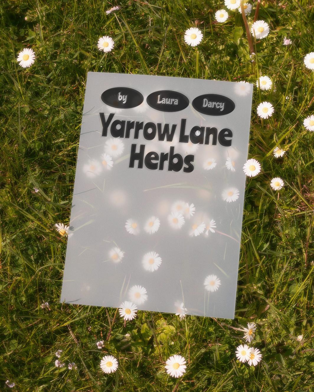 Yarrow Lane Herbs' logo displayed on printed paper that's lying in a field of daisies