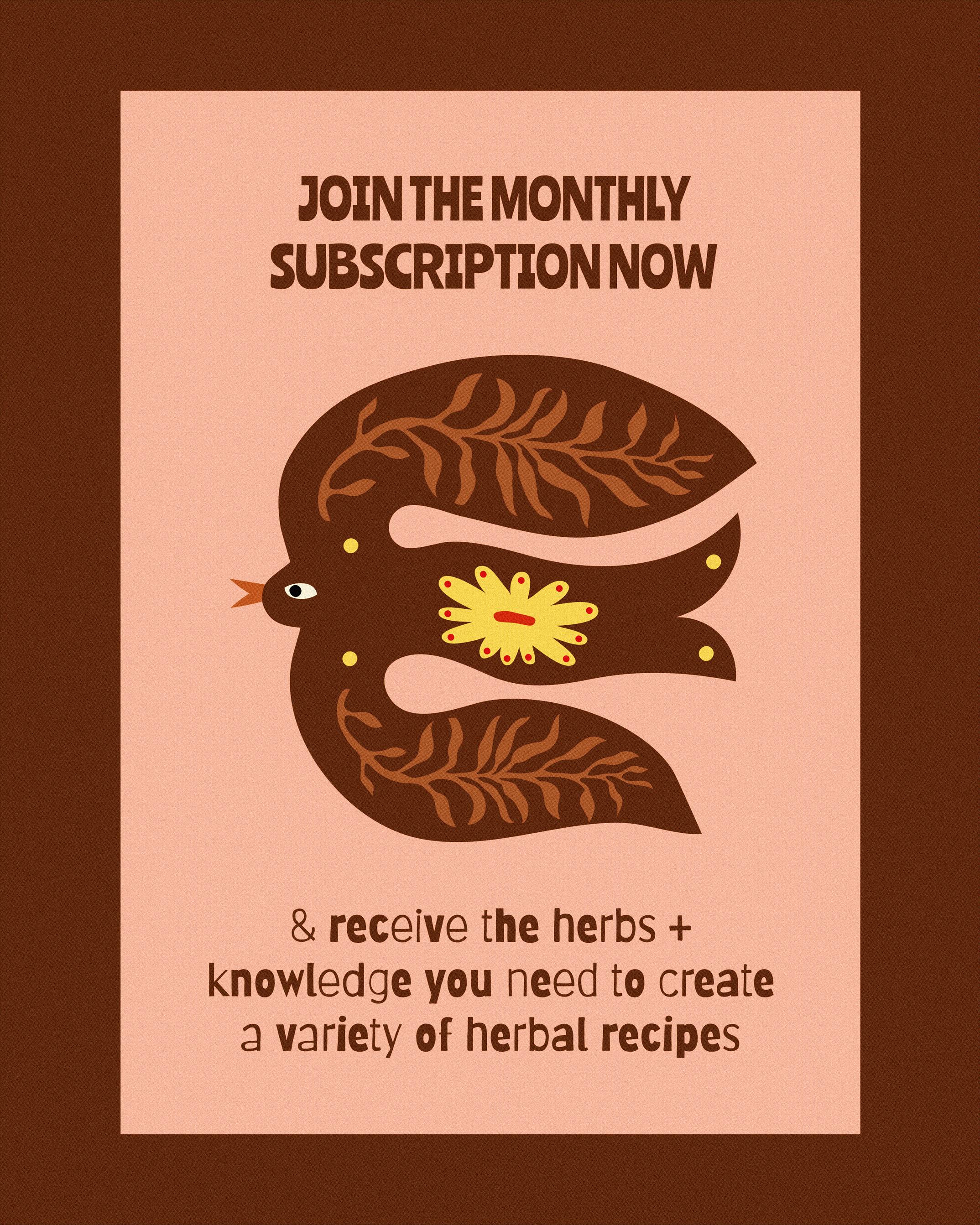 A digital promo poster reading "Join the monthly subscription & receive the herbs + knowledge you need to create a variety of herbal recipes", adorned with a handdrawn bird