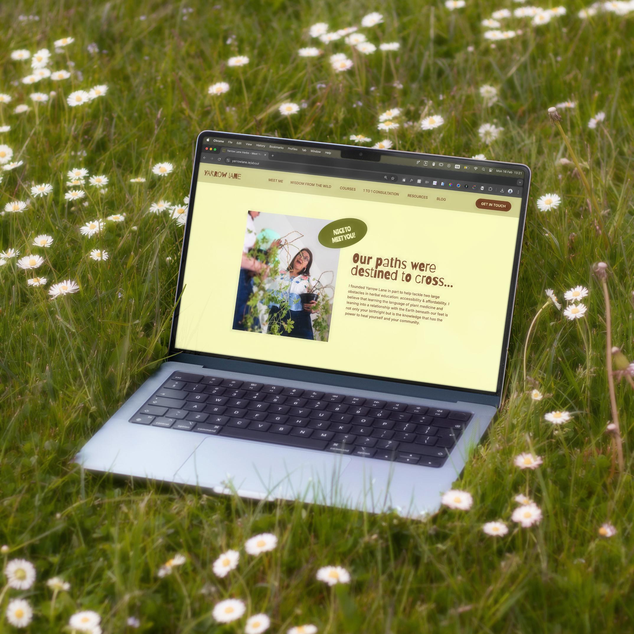 A laptop lying in a flower field, with Yarrow Lane Herbs' website pulled up